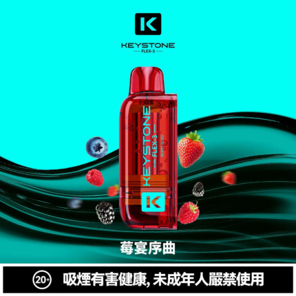 KEYSTONE FLEX-3 鑰石 25000口【買一盒送主機】